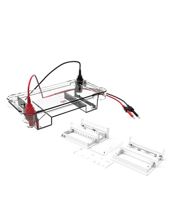 Agarose Horizontal Electrophoresis Tank (QTX-AHE-T500)