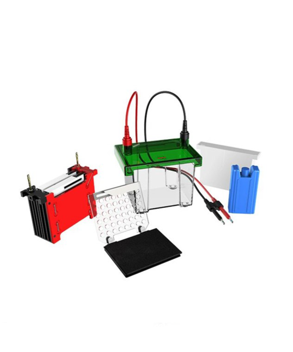 Mini Transfer Electrophoresis Tank (QTX-TT100)