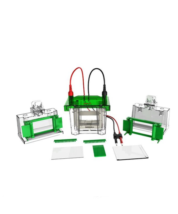 Mini Vertical Electrophoresis Tank (QTX-MV120)