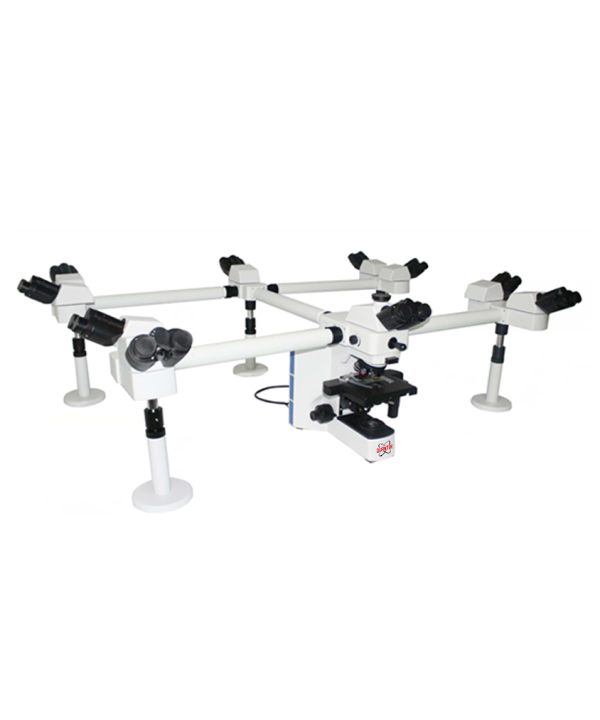 Biological Microscope (QXM-MH Series)
